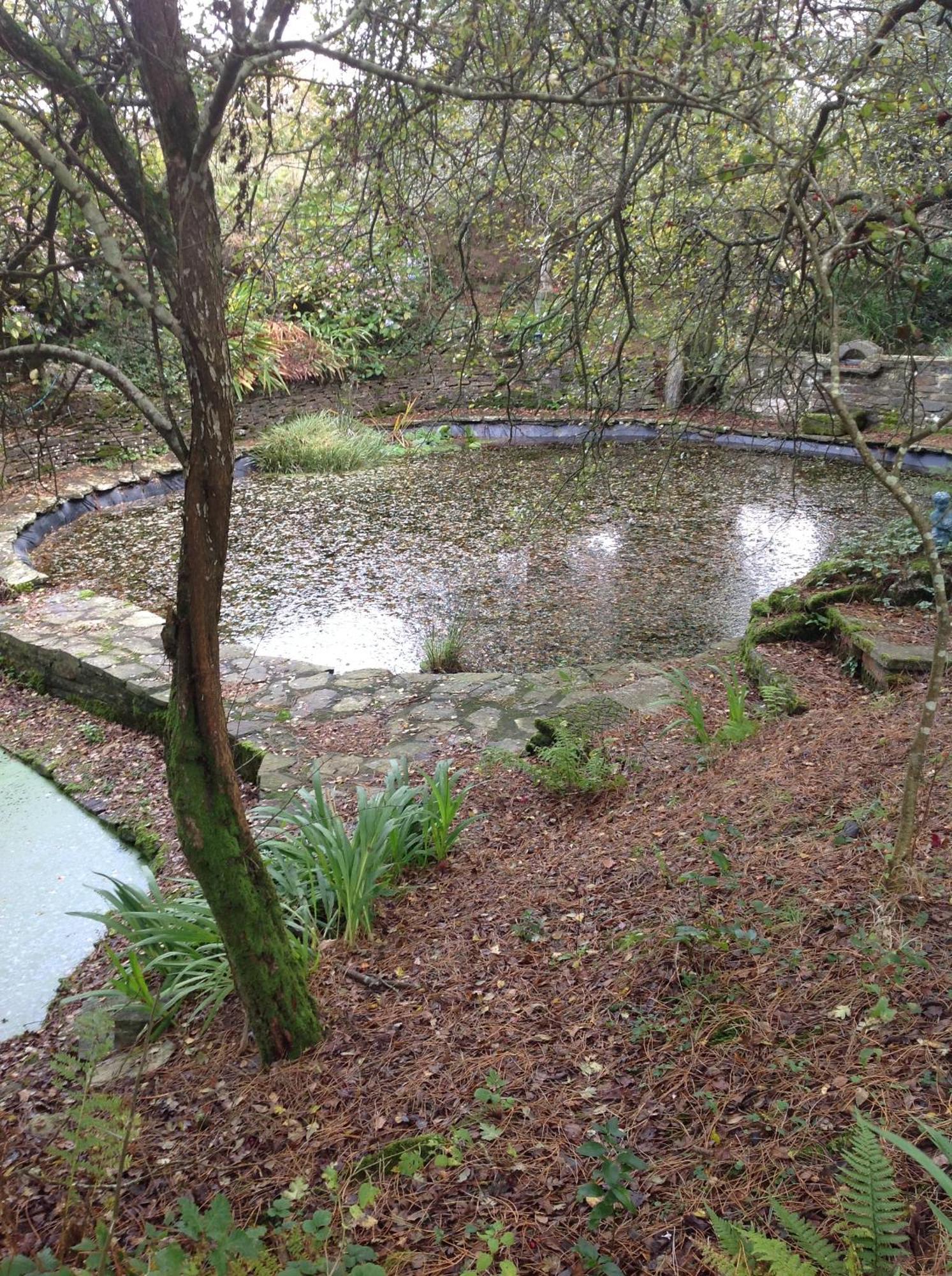 Trevenna Cabin St Austell Buitenkant foto
